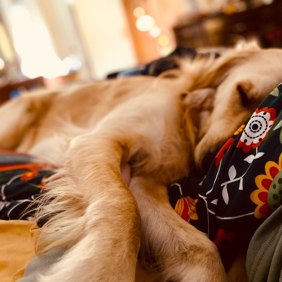 Meet your Posher, Shanna - Picture 6 of 8